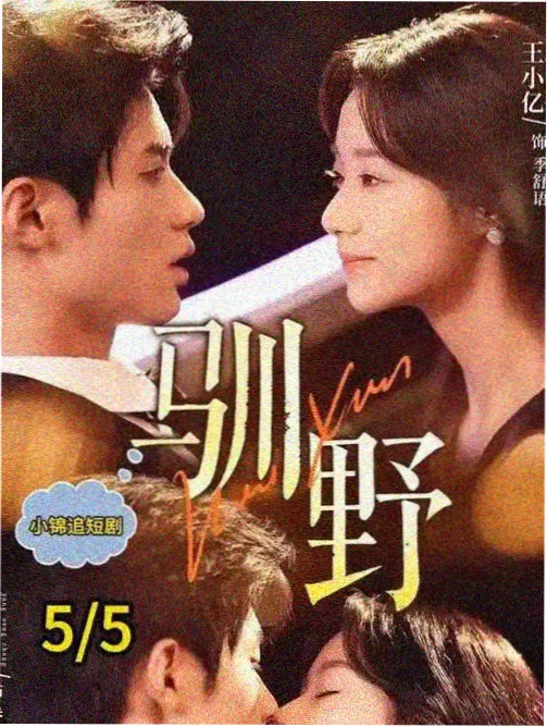 老王b站高分悬疑电视剧长夜将明